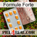Strong Formula new13